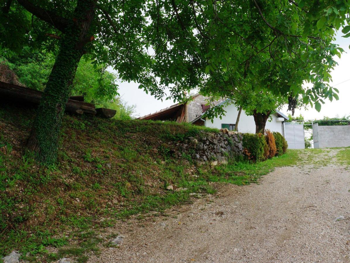 Old House Kontic Lägenhet Nikšić Exteriör bild